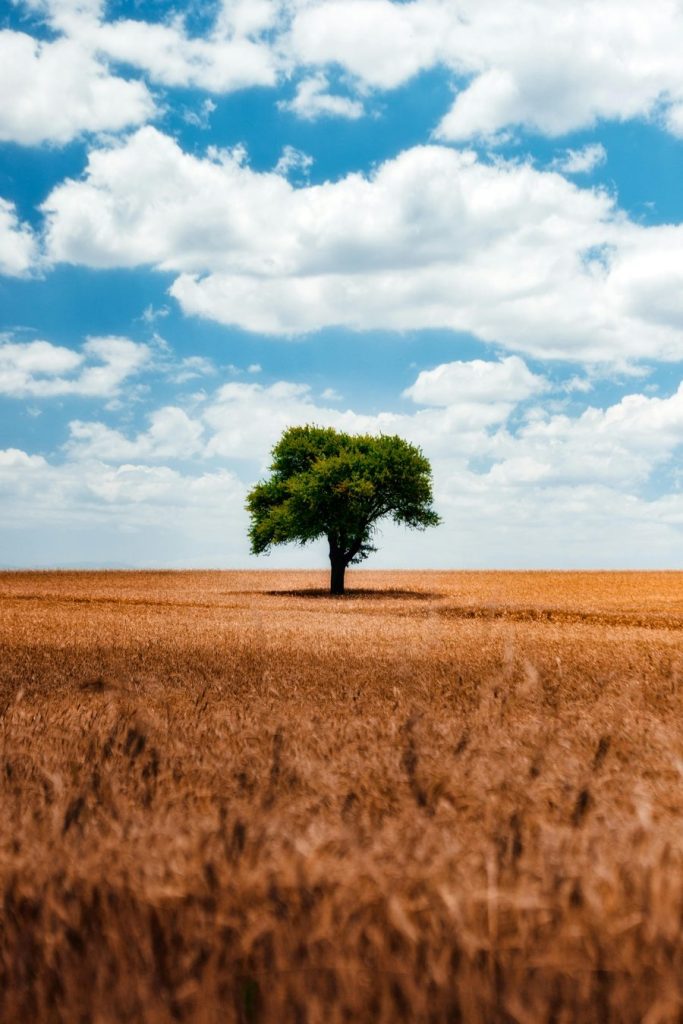 Responsible Investment & ESG Oversight